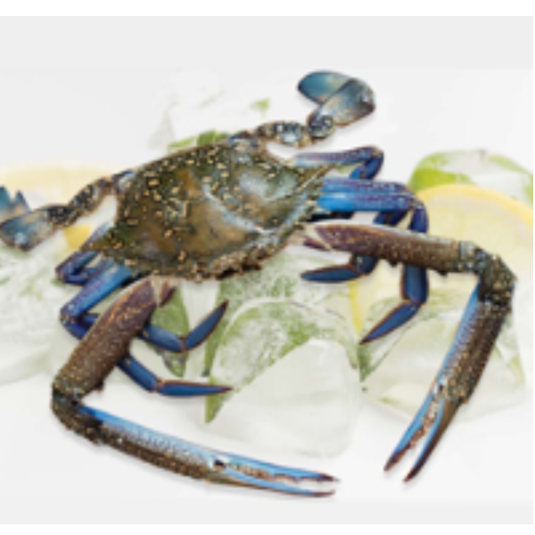 Blue_Crabs