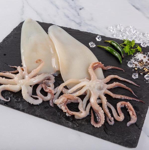 Squid1
