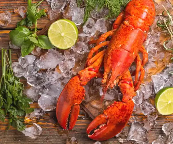 lobster1